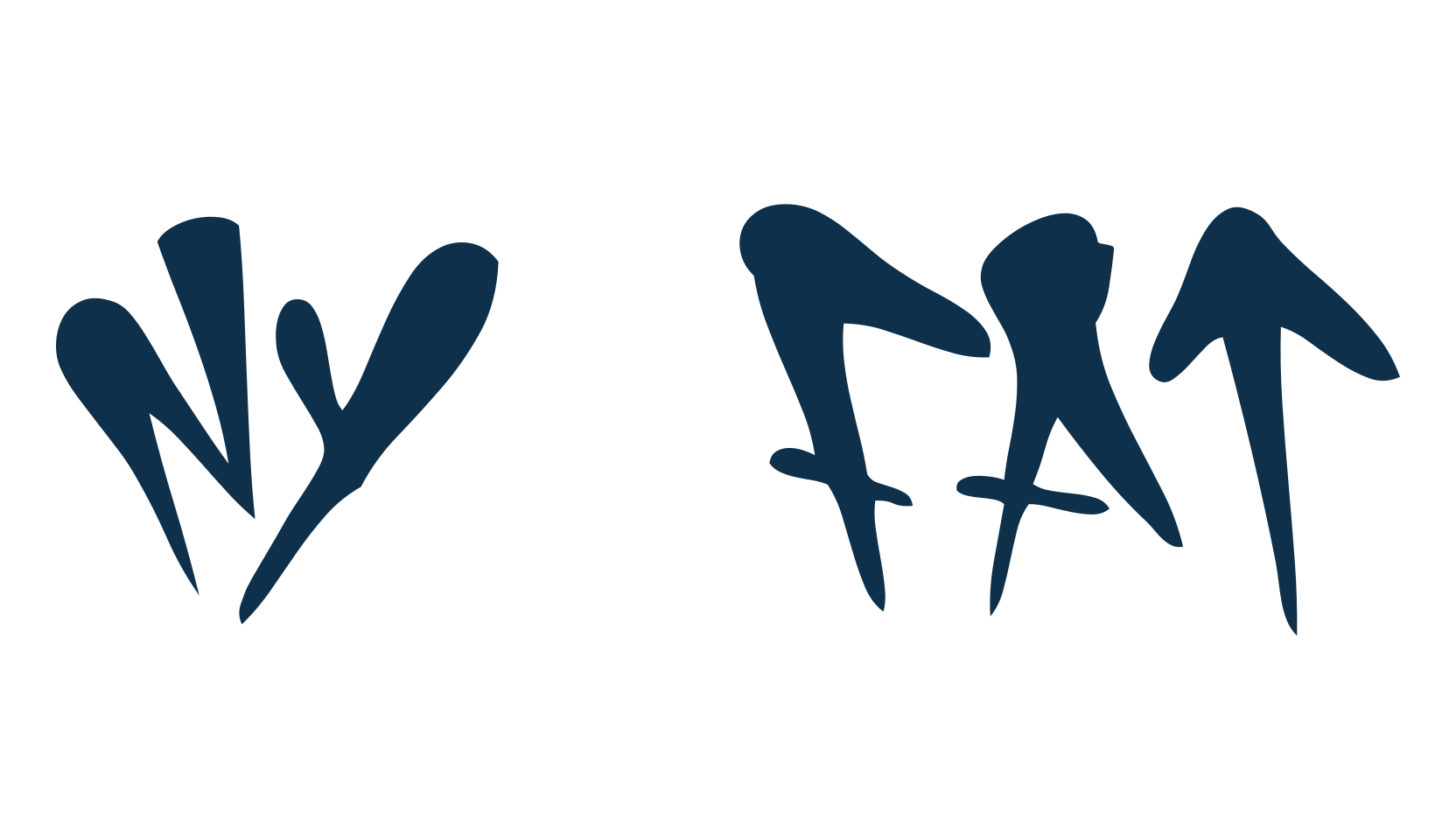 NY Fat, script graffiti fancy decorative calligraphy font preview