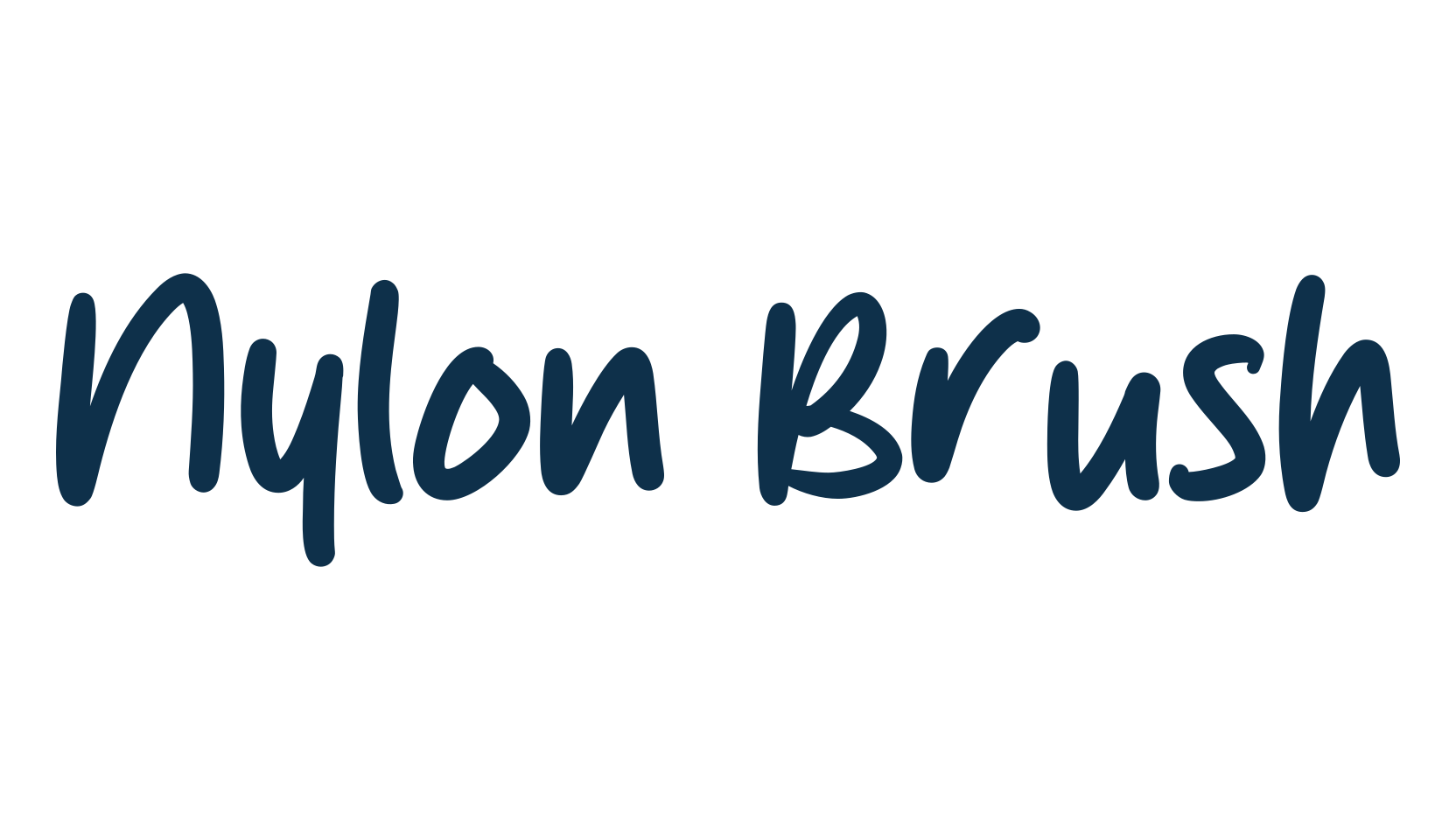 Nylon Brush, script handwritten fancy decorative calligraphy font preview