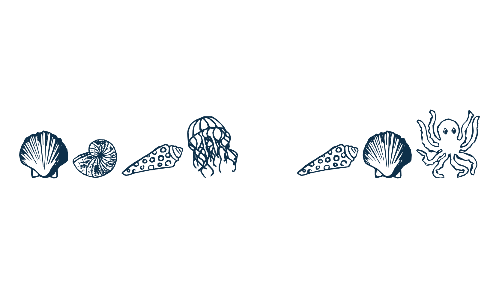 Ocean Iacy, fancy decorative font preview