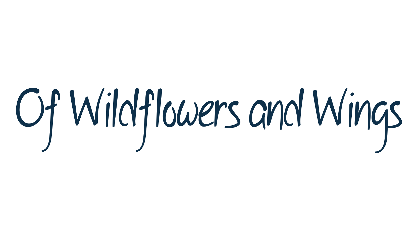 Of Wildflowers and Wings, handwriting font preview
