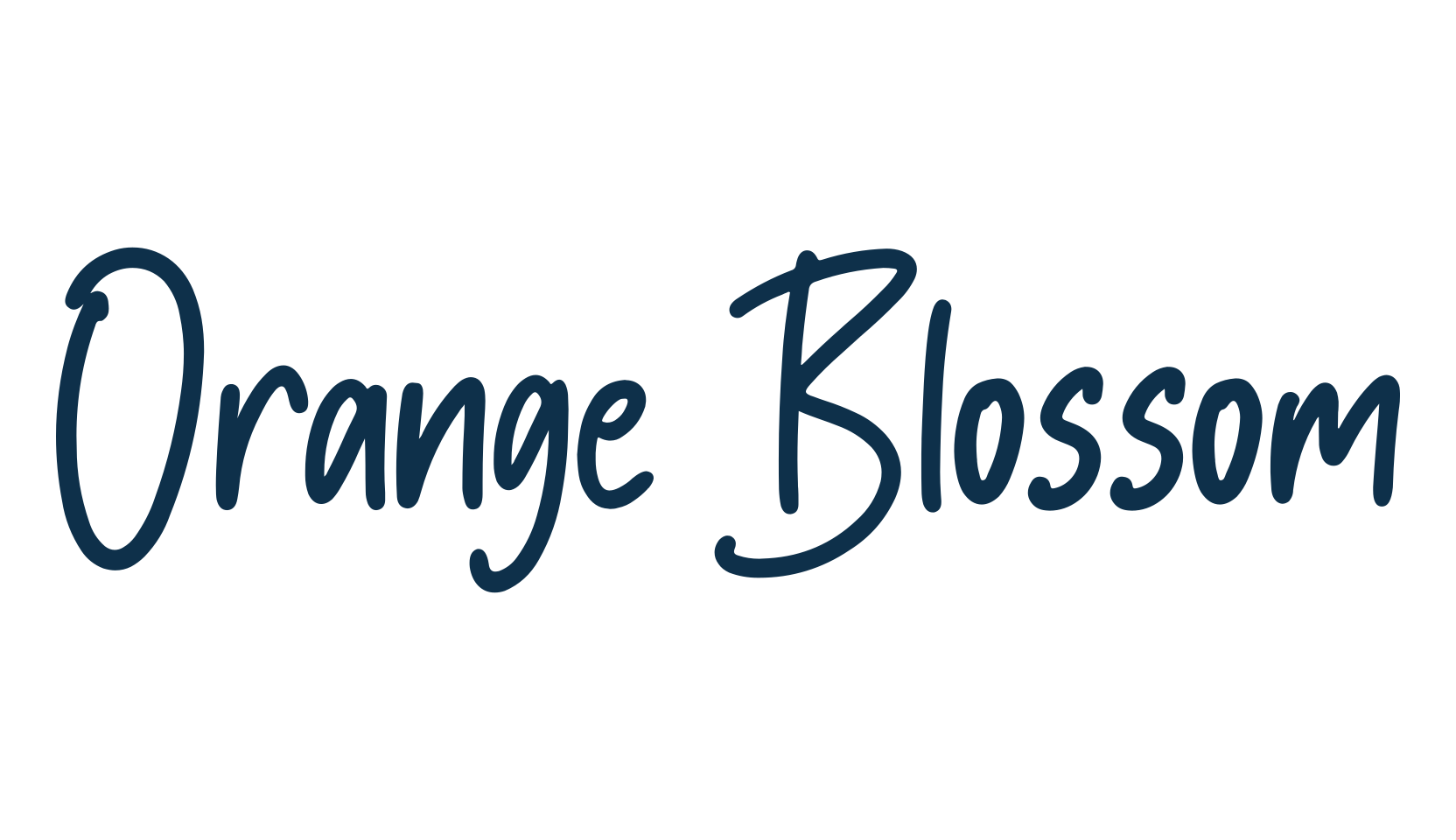 Orange Blossom, script handwritten fancy decorative calligraphy font preview