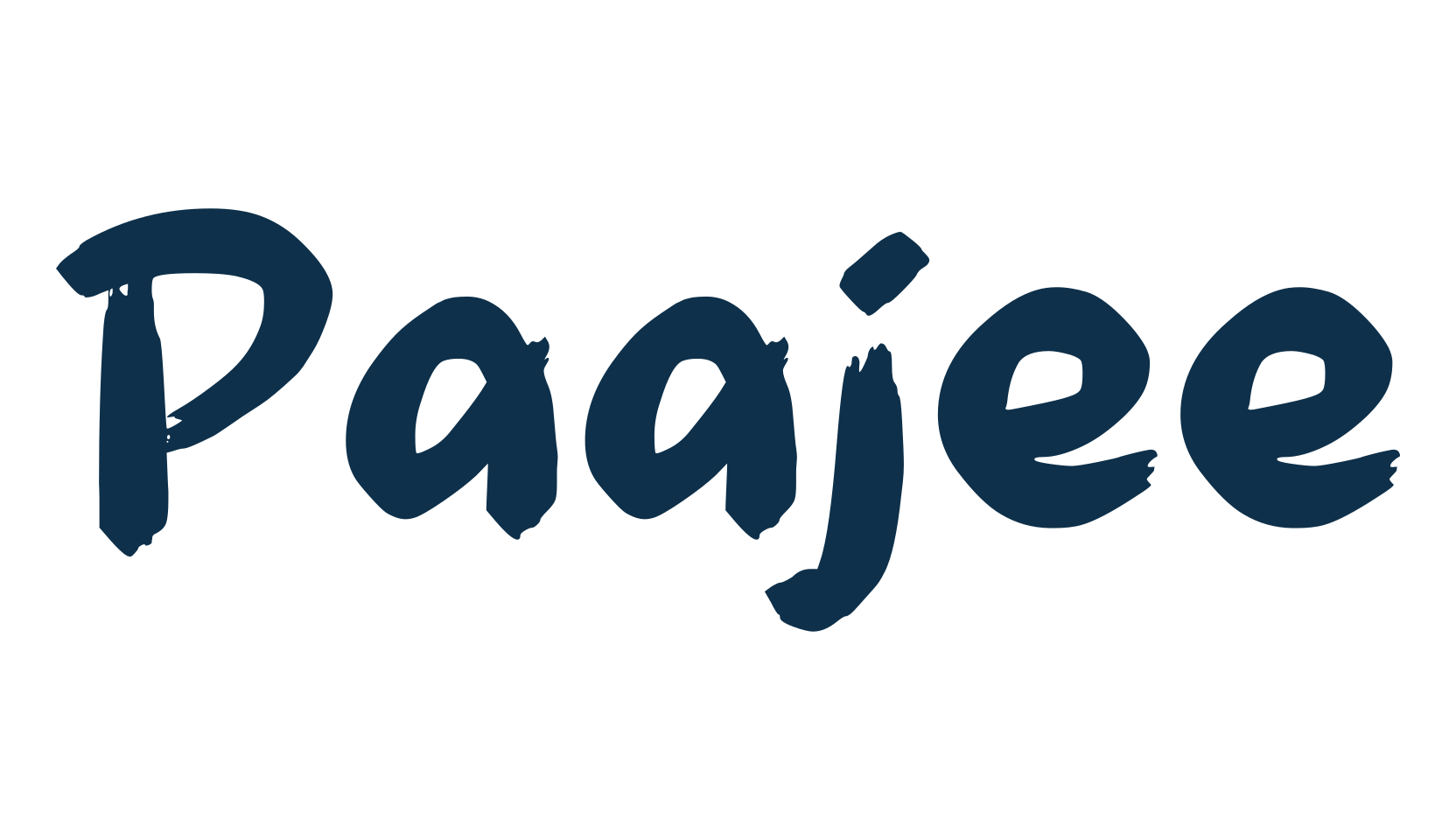 Paajee, script brush fancy decorative calligraphy font preview