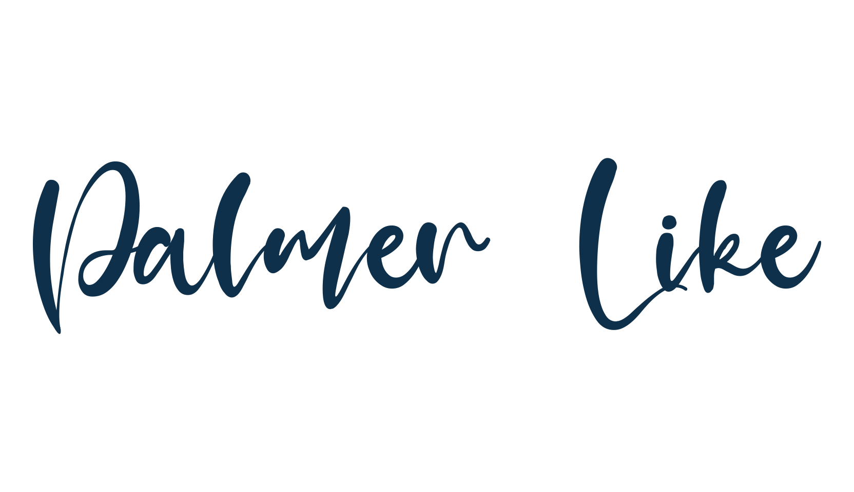 Palmer Like, script calligraphy fancy decorative font preview