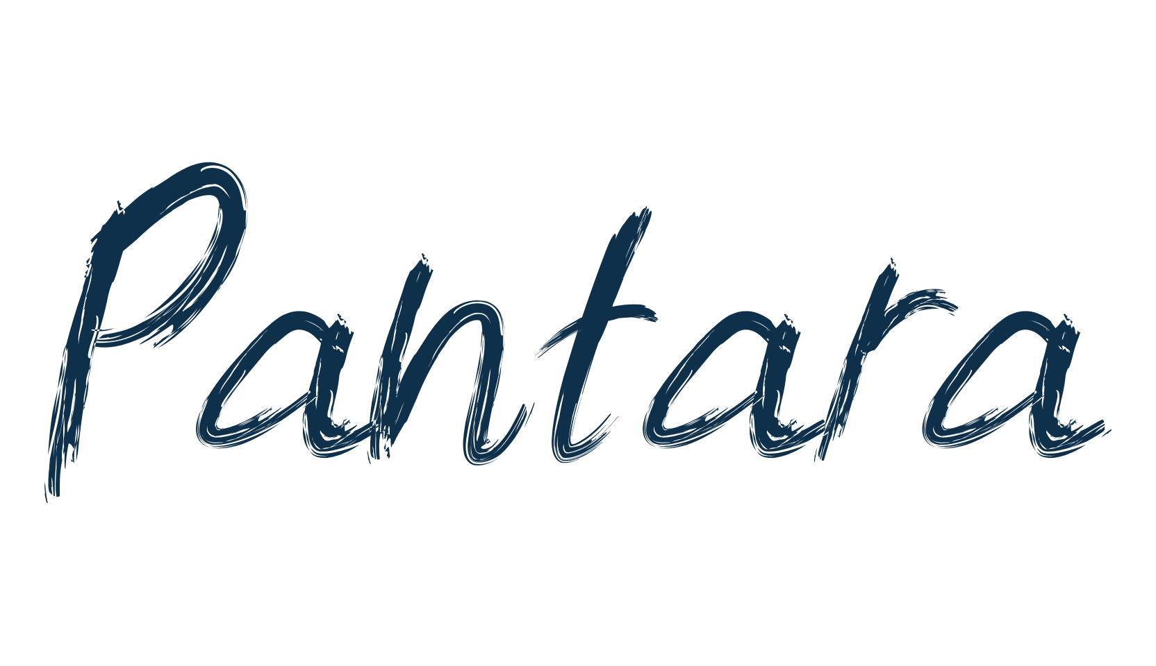 Pantara, script brush fancy decorative calligraphy font preview