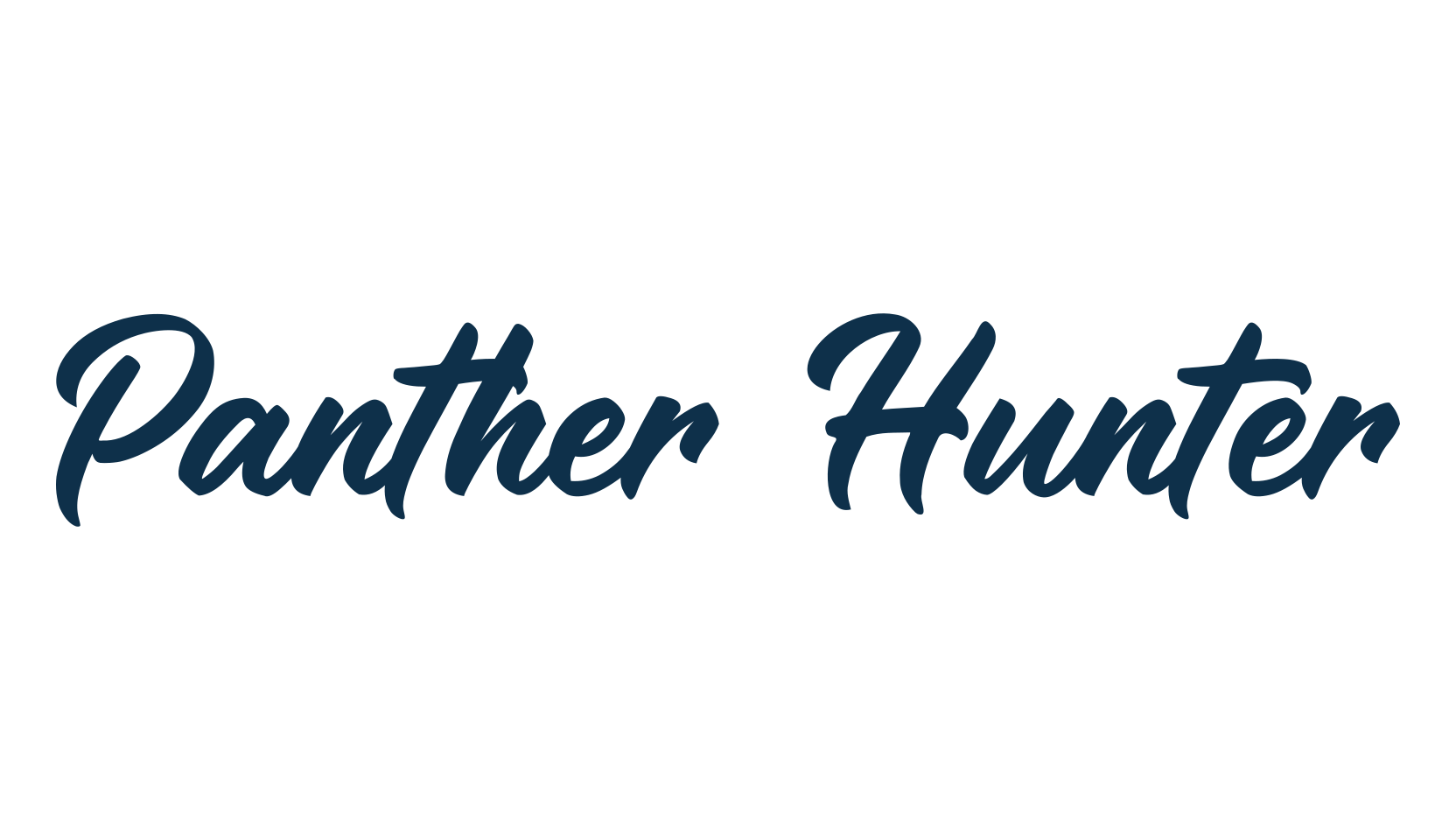 Panther Hunter, script calligraphy fancy decorative font preview