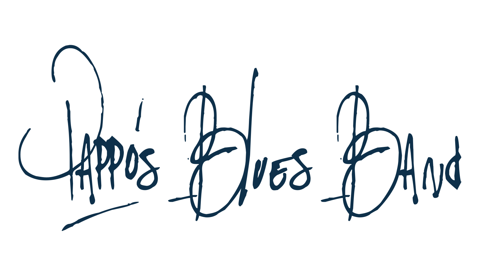 Pappo's Blues Band, script handwritten fancy decorative calligraphy font preview