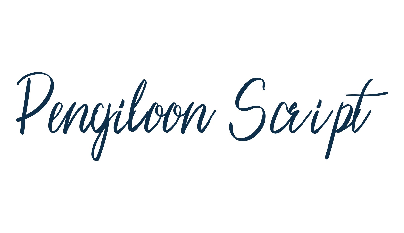 Pengiloon Script, script handwritten fancy decorative calligraphy font preview