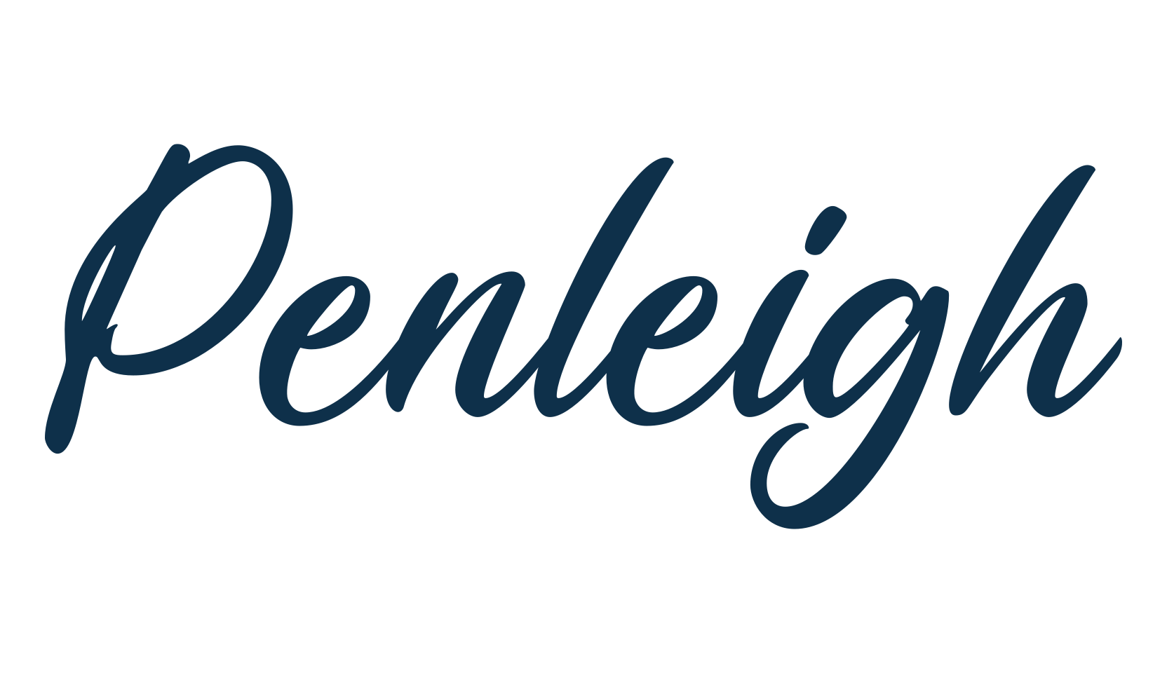Penleigh, script handwritten fancy decorative calligraphy font preview