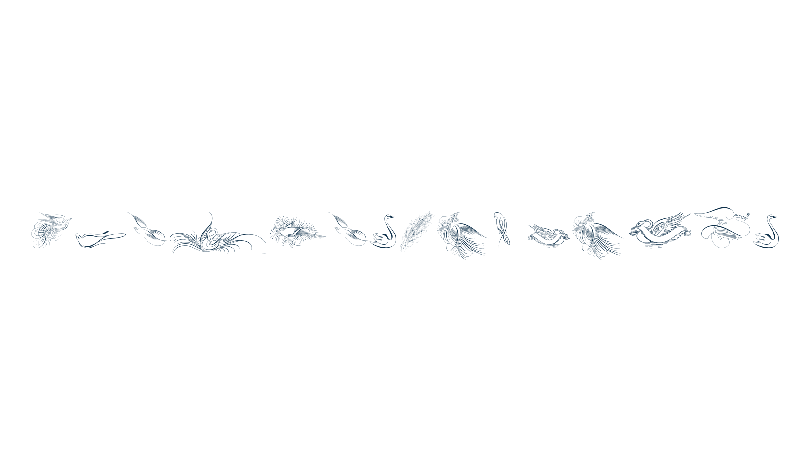 Penmanship Birds, fancy decorative font preview