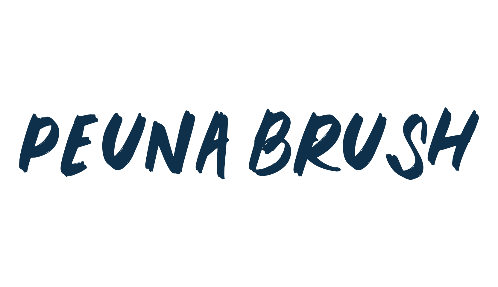 Peuna Brush, script brush fancy decorative calligraphy font preview