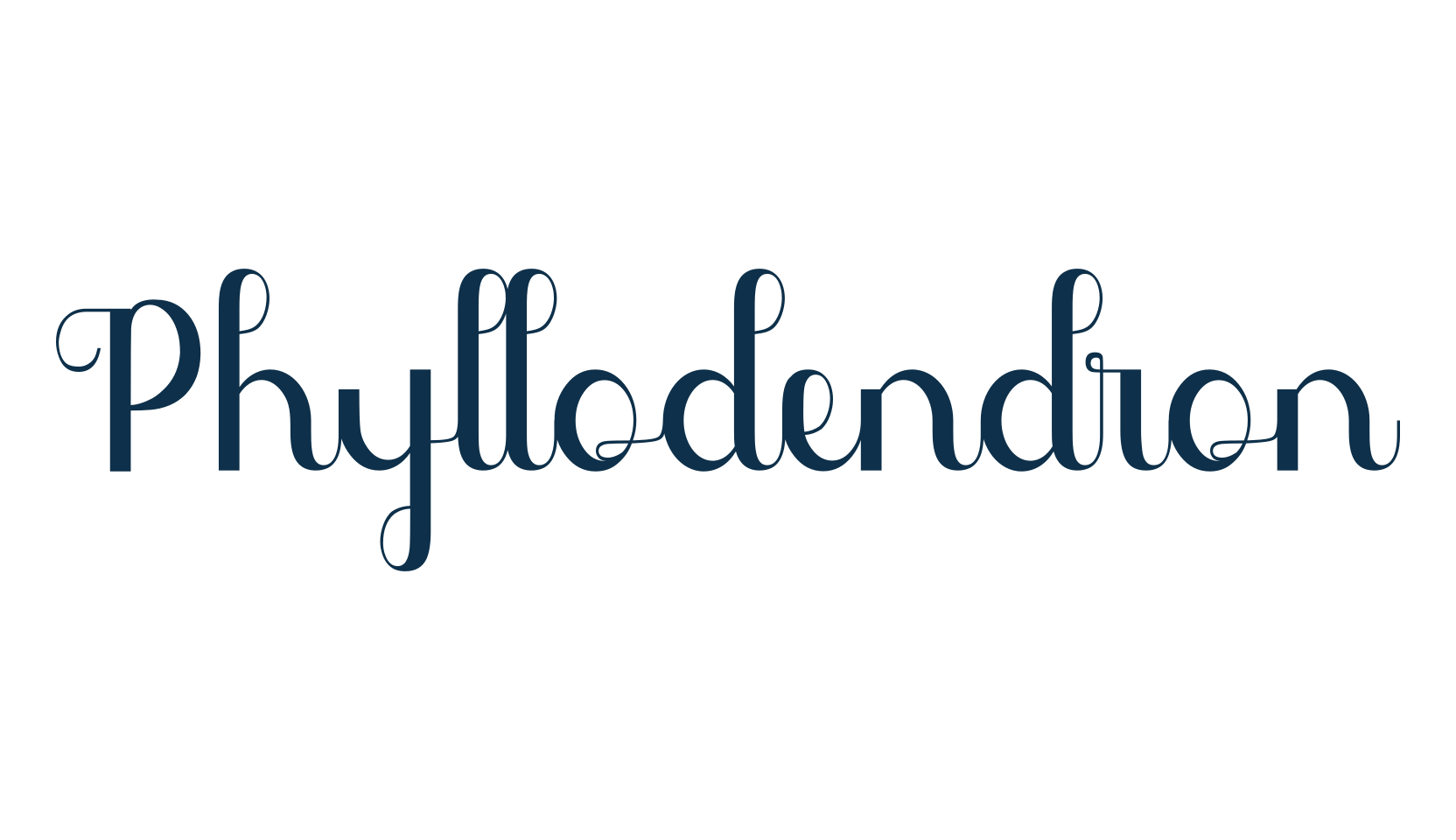 Phyllodendron, fancy decorative font preview