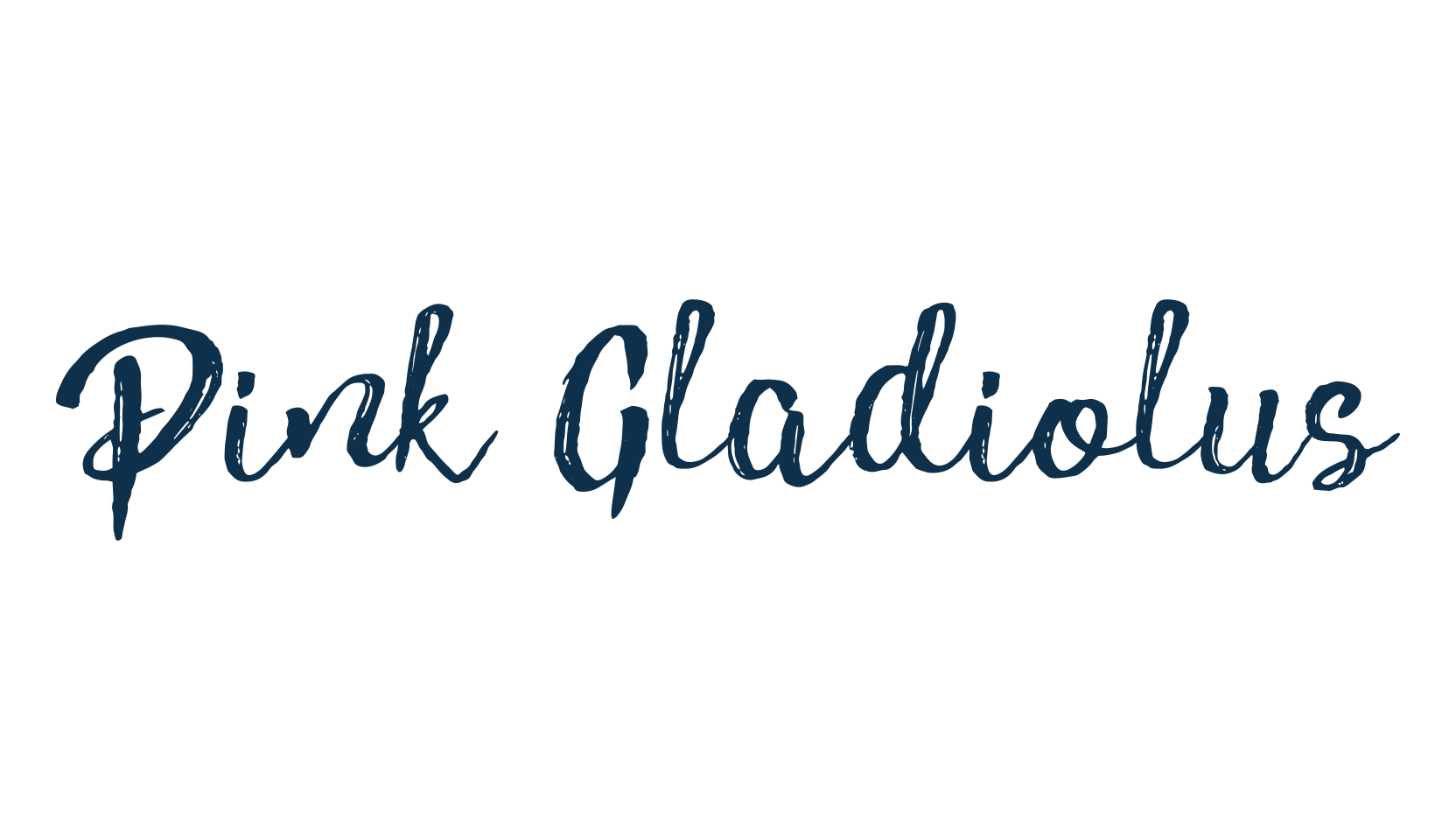 Pink Gladiolus, script brush fancy decorative calligraphy font preview
