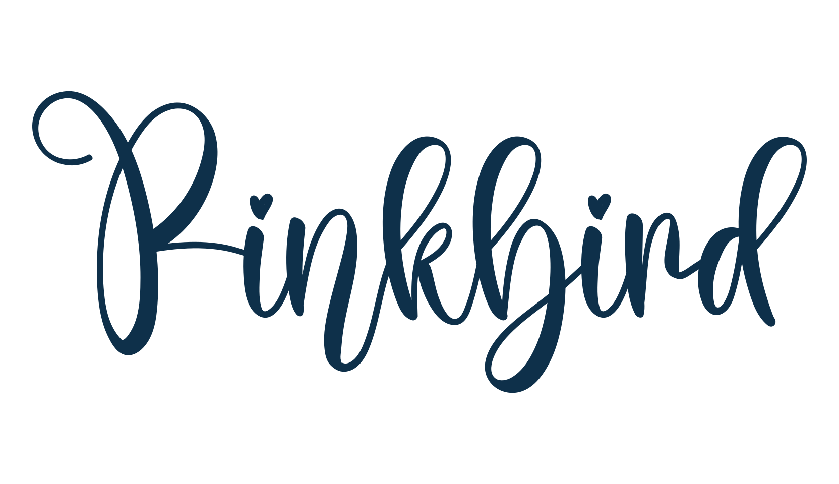 Pinkbird, script calligraphy fancy decorative font preview