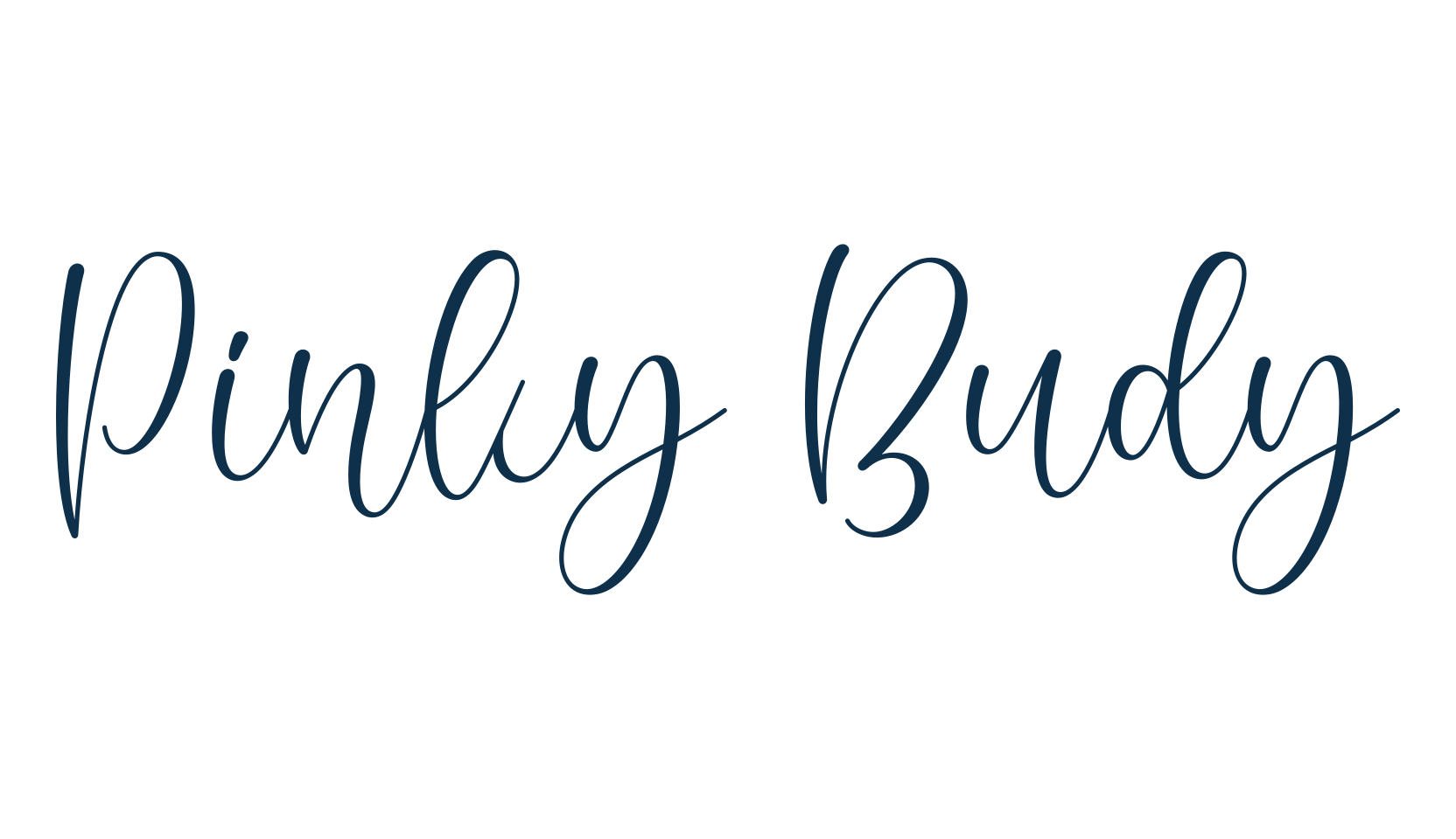 Pinky Budy, calligraphy font preview