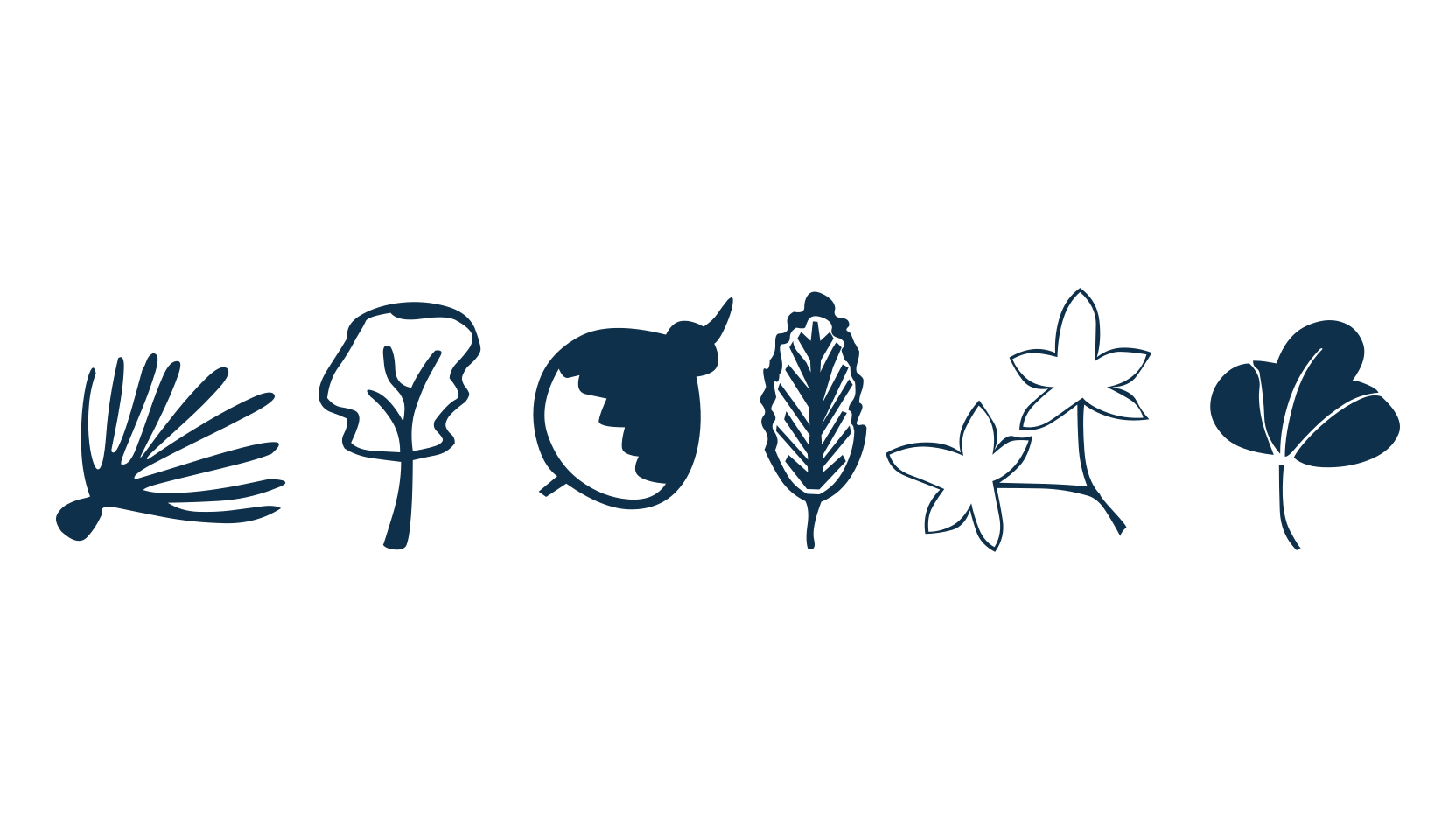 Plants, fancy decorative font preview