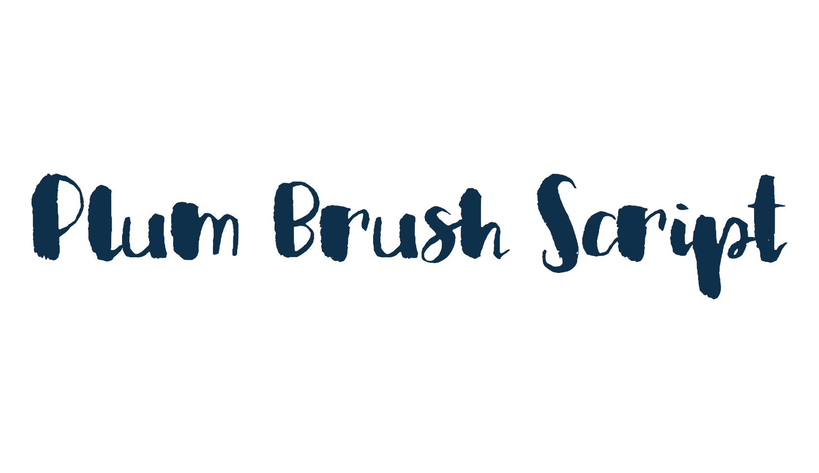 Plum Brush Script, brush font preview
