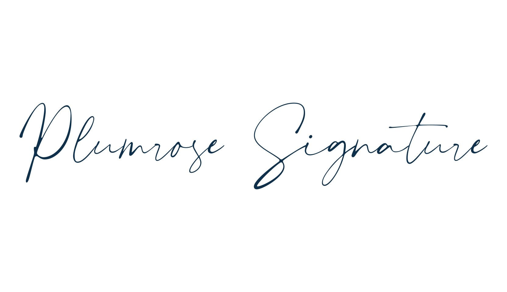 Plumrose Signature, script handwritten fancy decorative calligraphy font preview