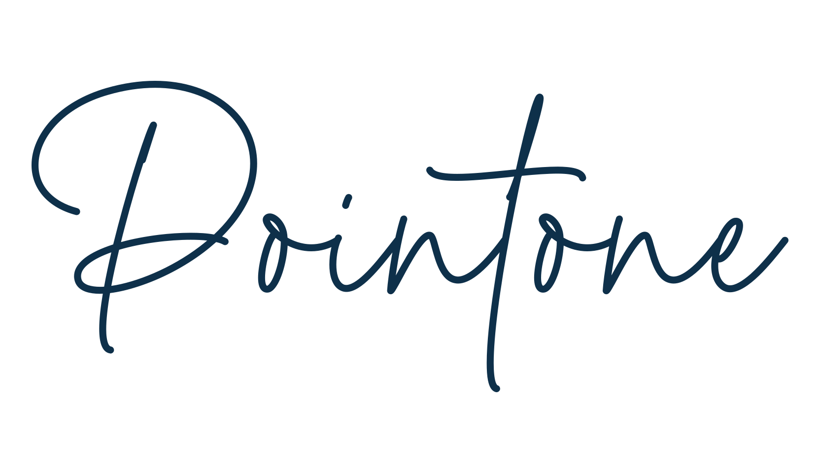 Pointone, script handwritten fancy decorative calligraphy font preview