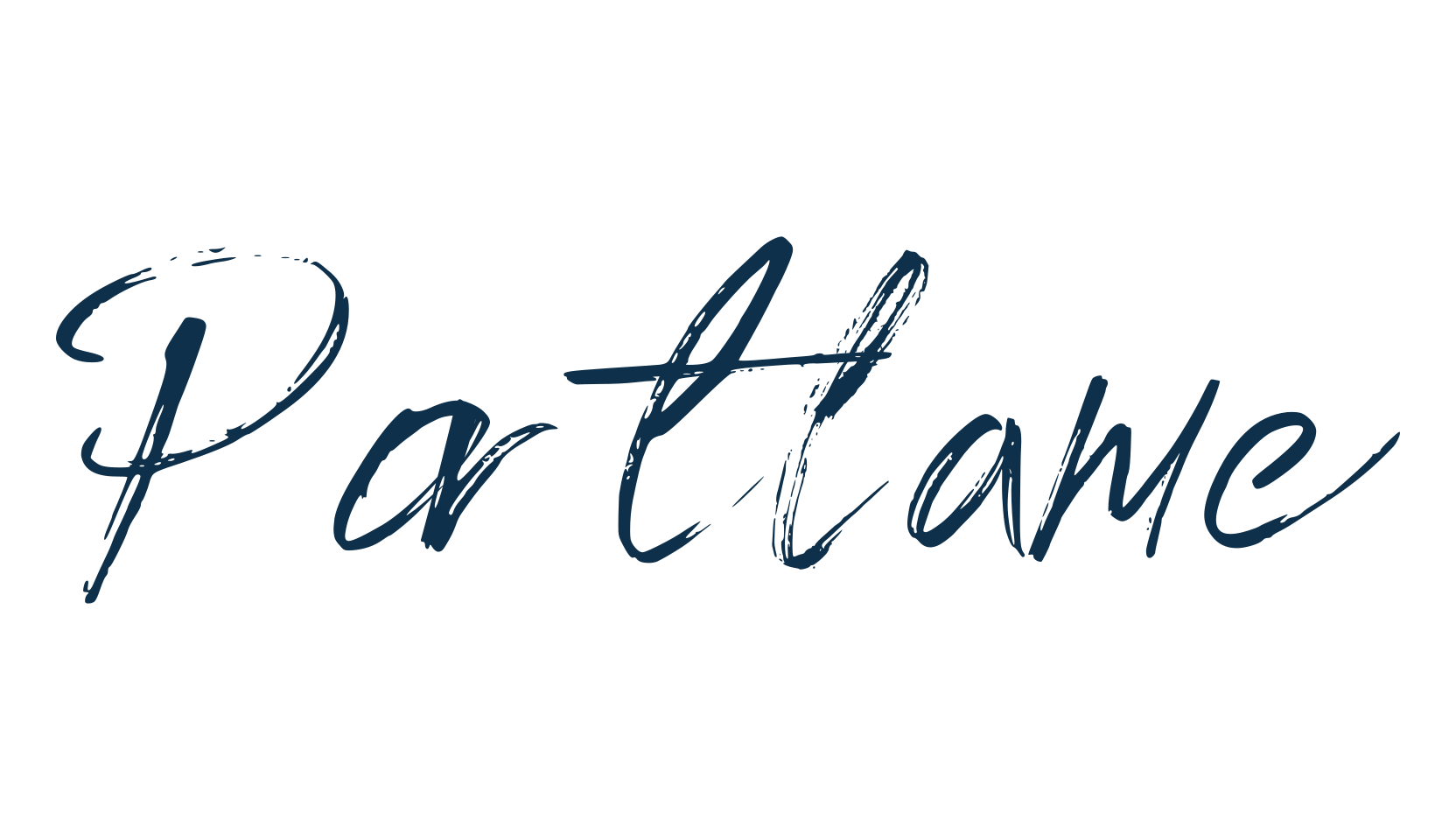 Portlame, script brush fancy decorative calligraphy font preview