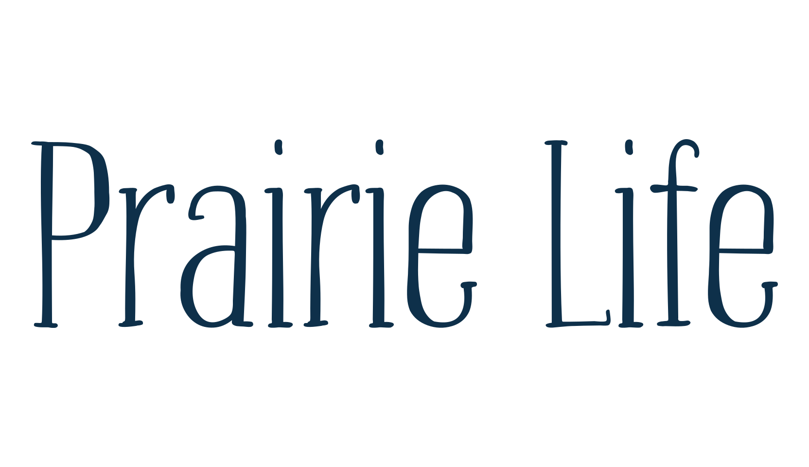 Prairie Life, fancy various decorative font preview