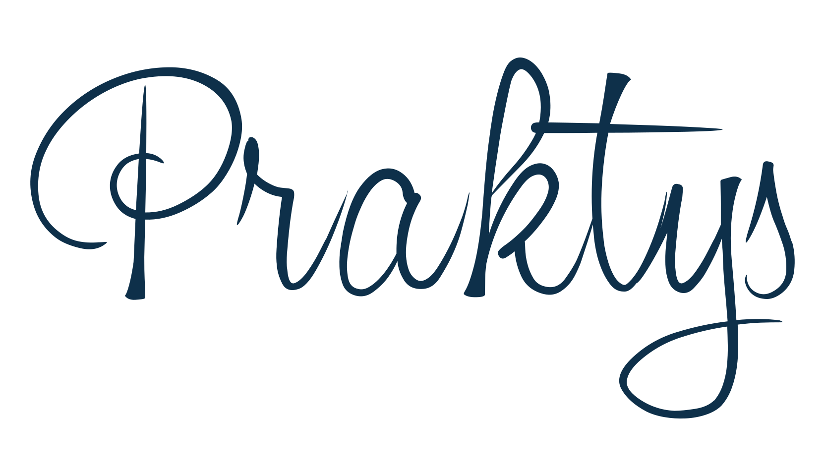 Praktys, script handwritten fancy decorative calligraphy font preview