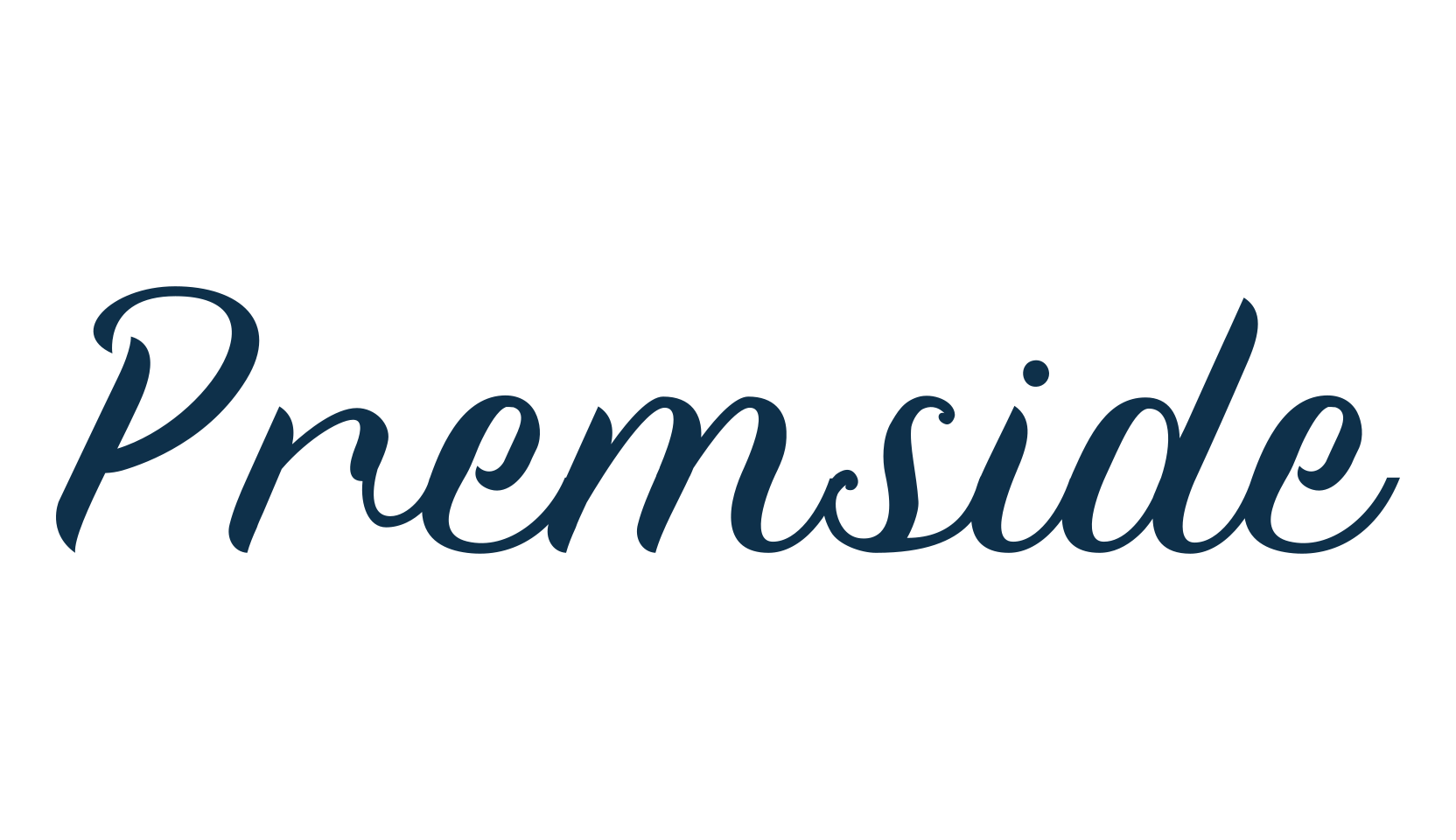Premside, fancy various decorative script calligraphy font preview