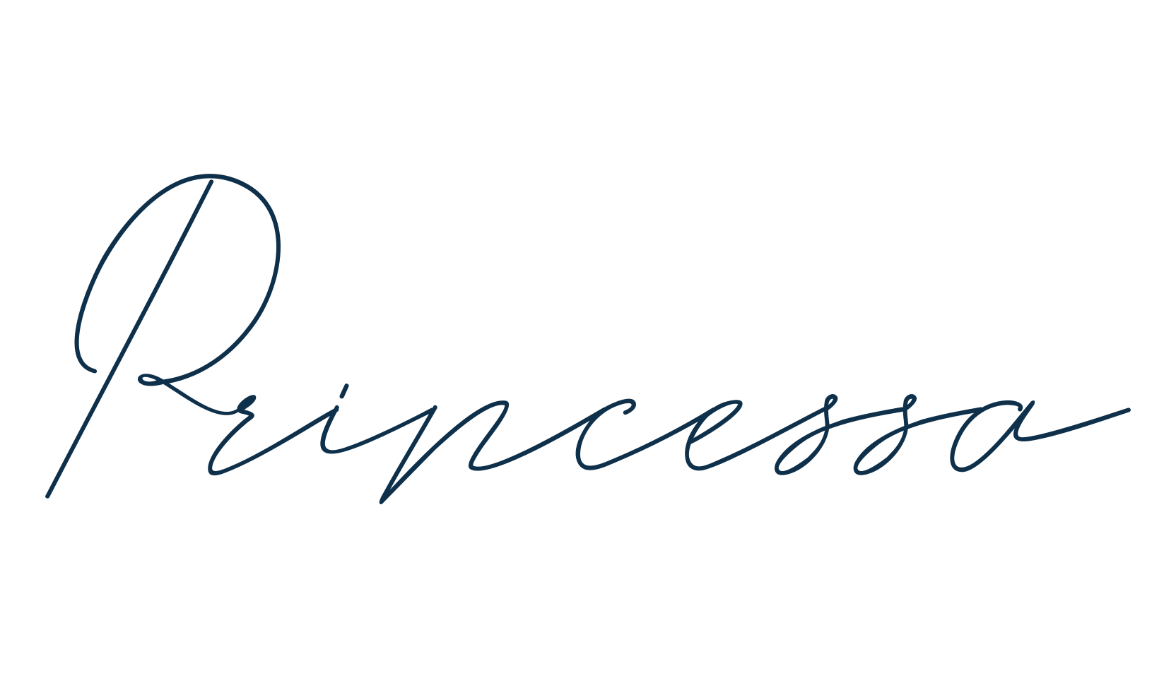 Princessa, script handwritten fancy decorative calligraphy font preview