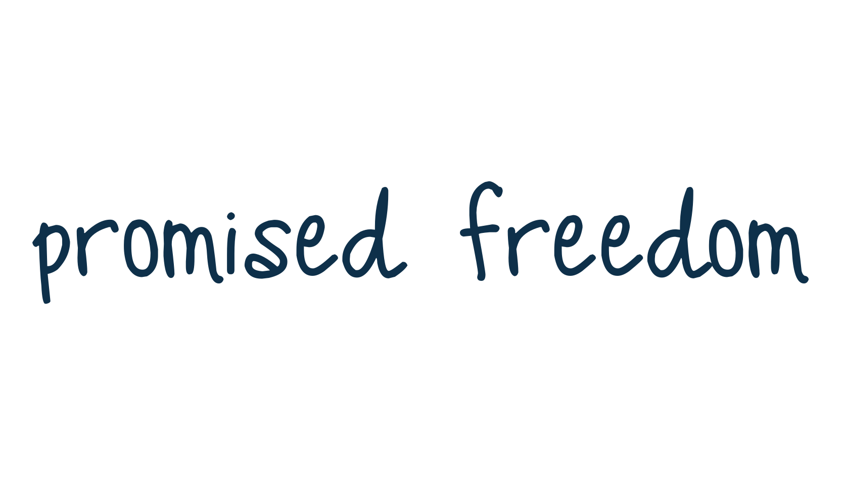 Promised Freedom, script handwritten fancy decorative calligraphy font preview