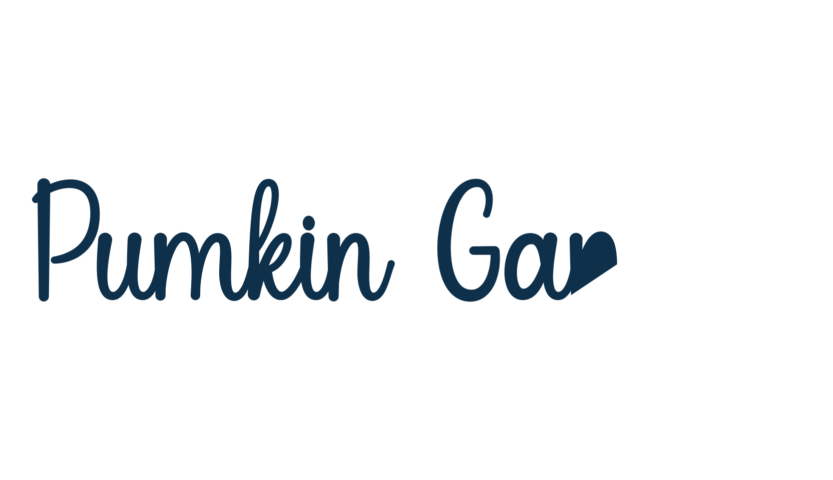 Pumkin Garden, script handwritten fancy decorative calligraphy font preview