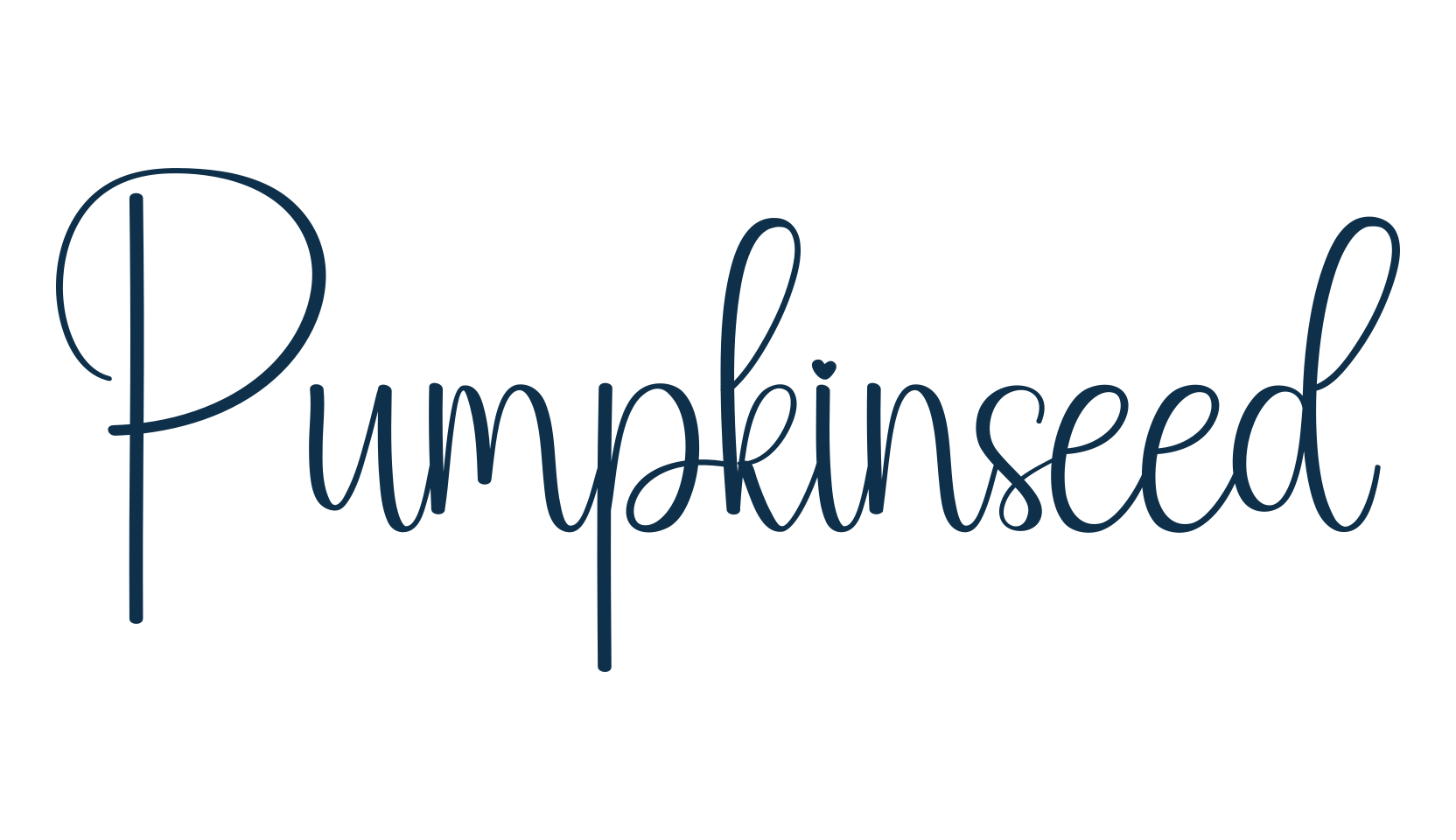 Pumpkinseed, script handwritten fancy decorative calligraphy font preview