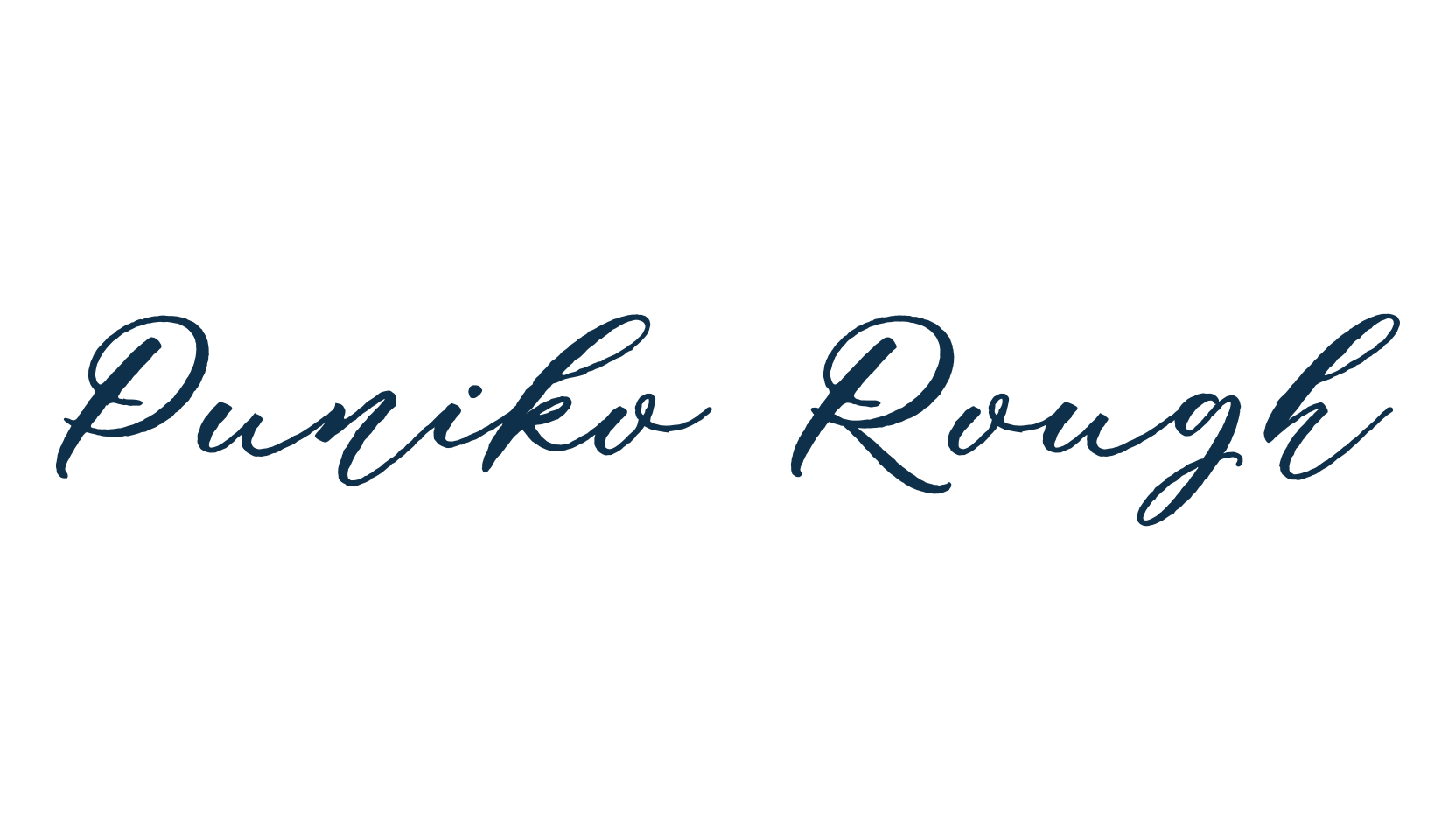 Puniko Rough, script handwritten fancy decorative calligraphy font preview