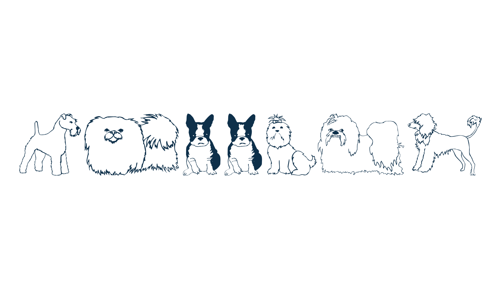 Puppins, display market font preview
