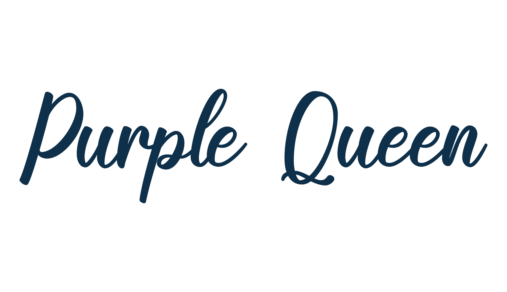 Purple Queen, calligraphy font preview