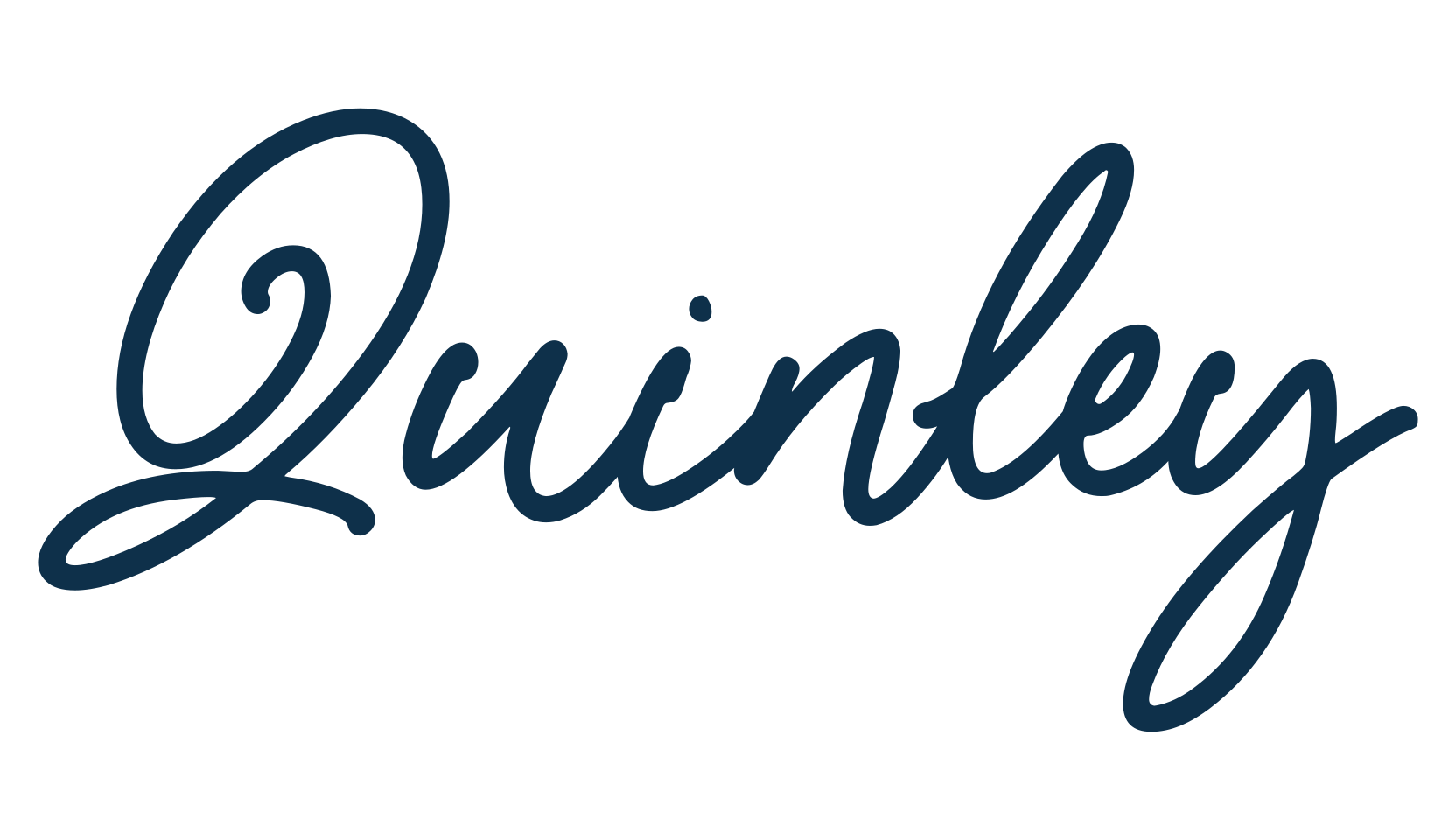 Quinley, script handwritten fancy decorative calligraphy font preview