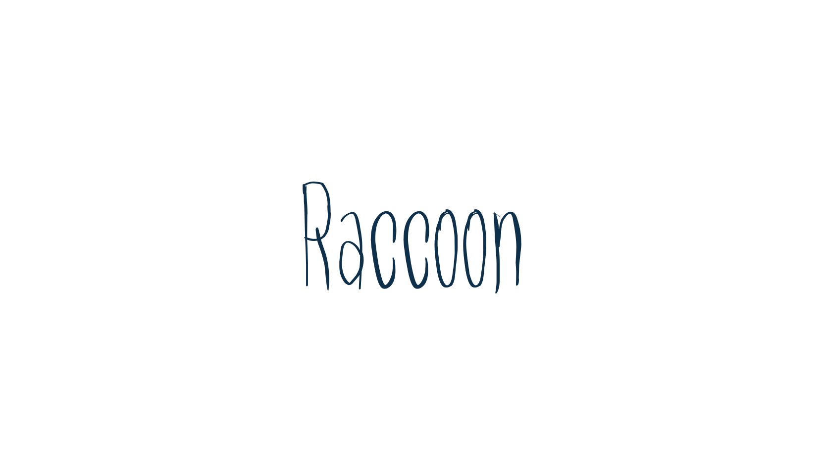 Raccoon, fancy various decorative script calligraphy font preview