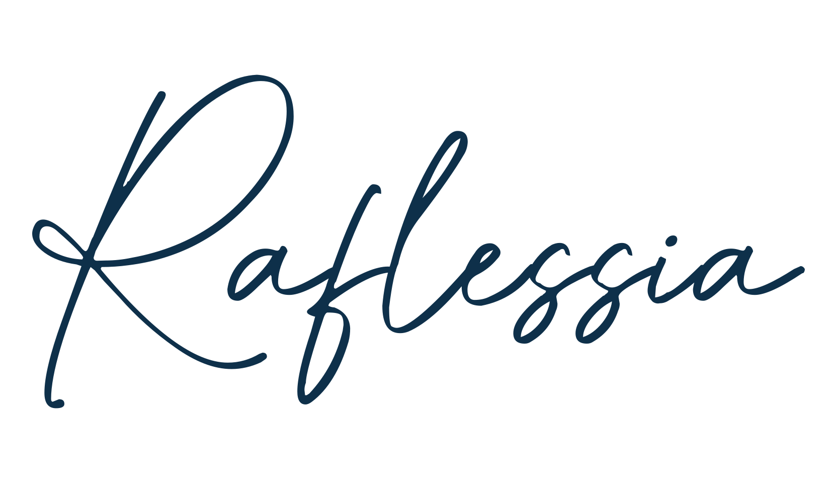 Raflessia, script handwritten fancy decorative calligraphy font preview