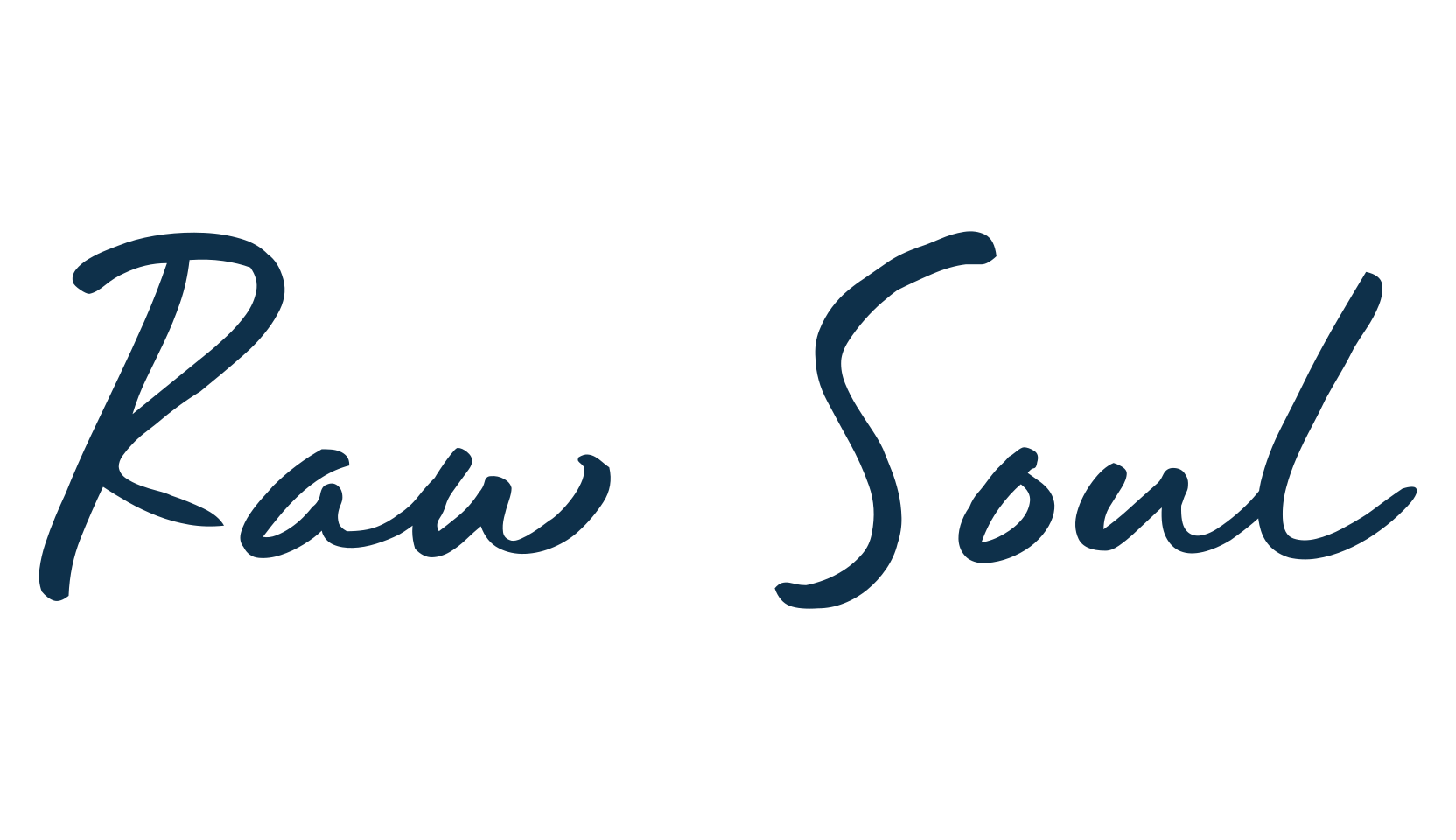 Raw Soul, script handwritten fancy decorative calligraphy font preview