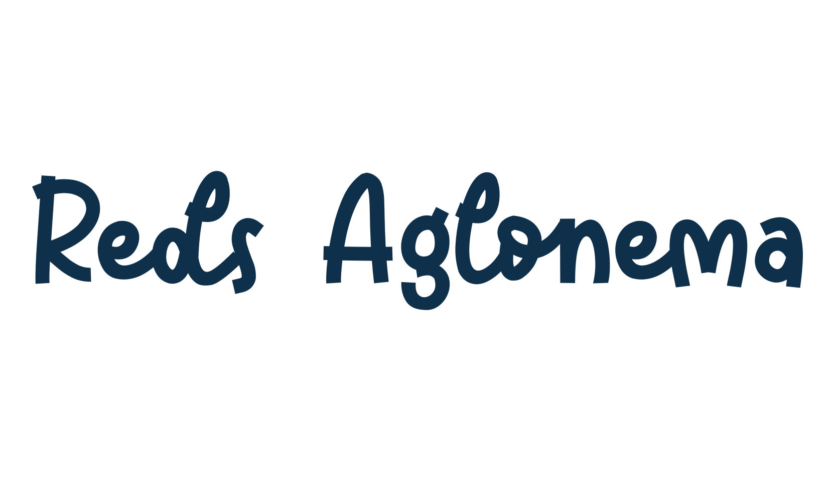 Reds Aglonema, fancy decorative font preview