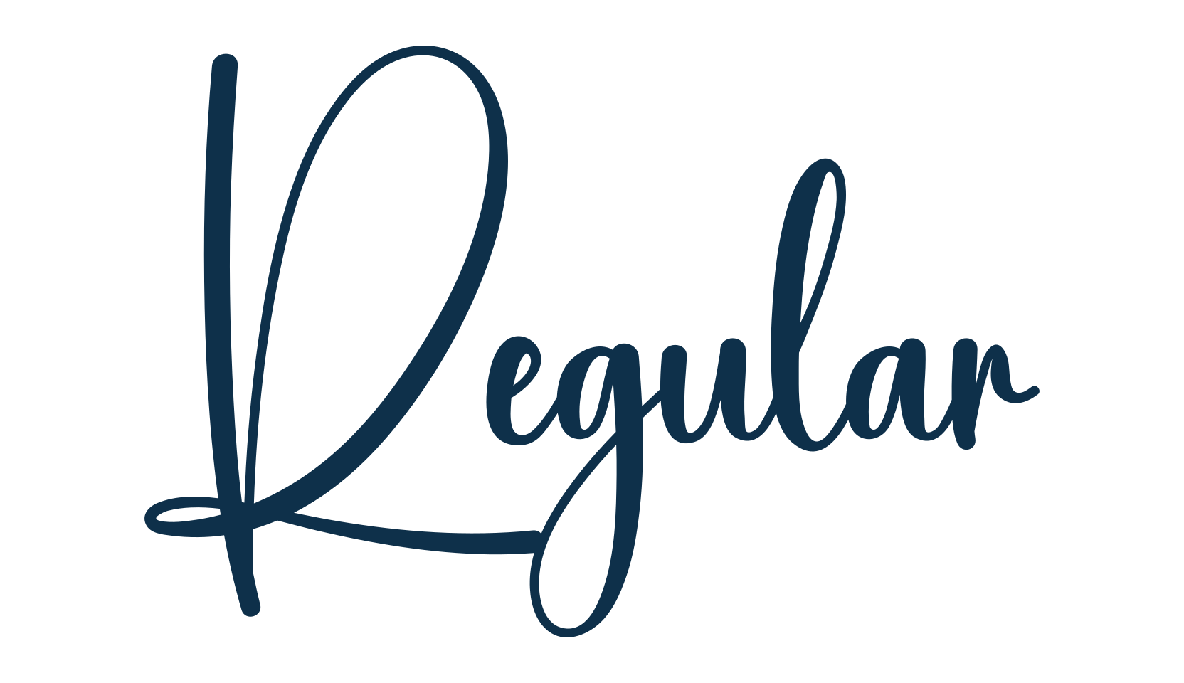 Regular, script handwritten fancy decorative calligraphy font preview