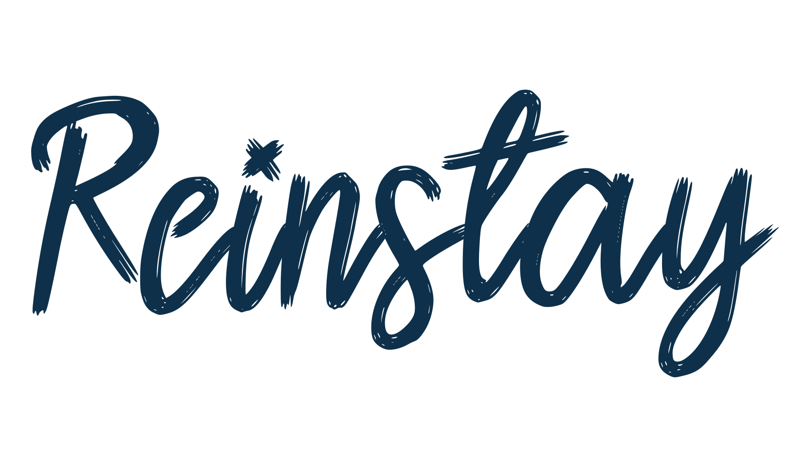 Reinstay, brush font preview