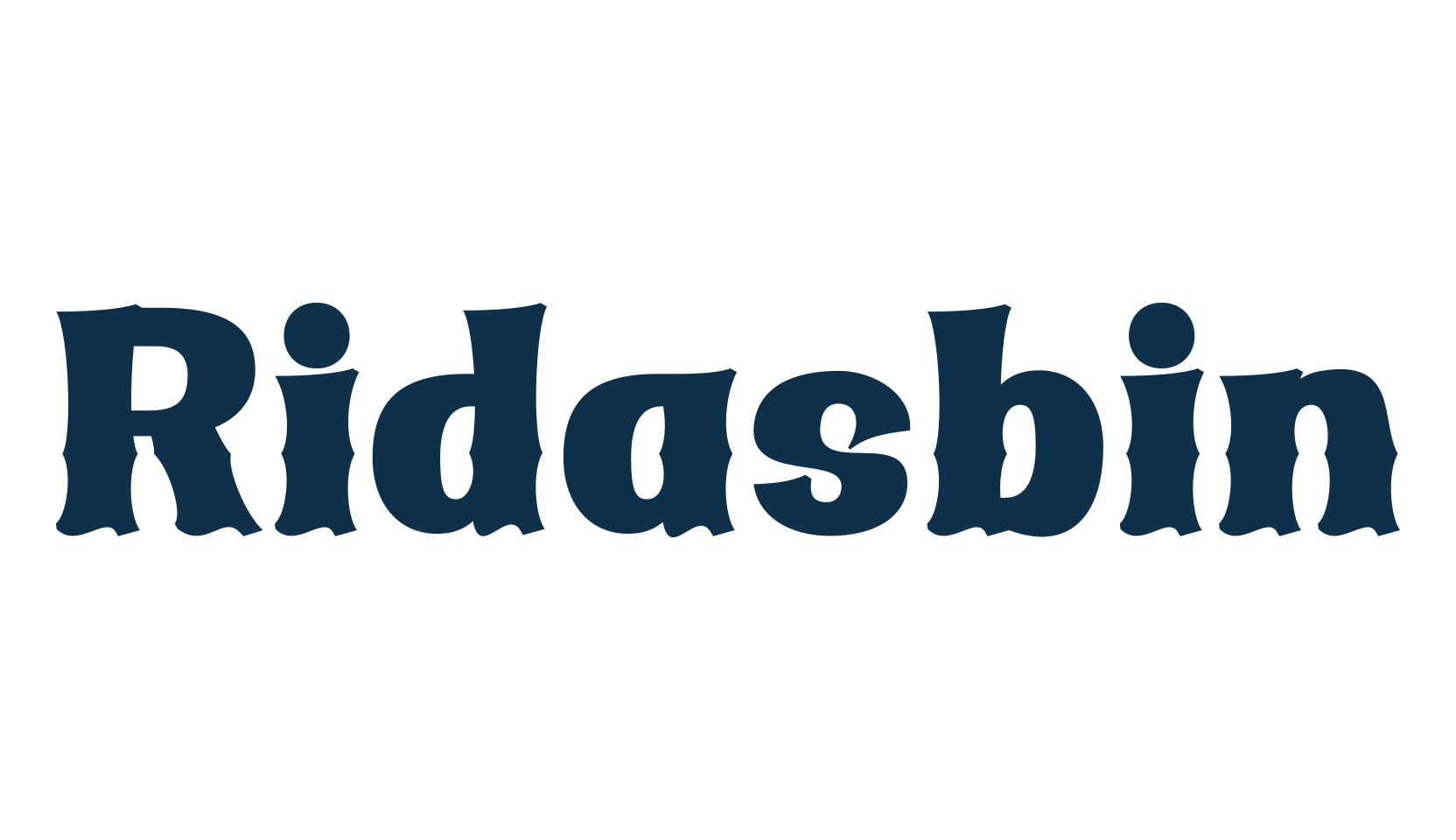 Ridasbin, fancy retro decorative font preview
