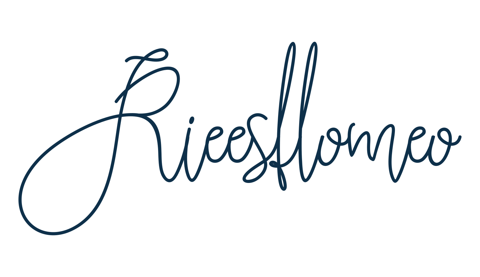 Rieesflomeo, script handwritten fancy decorative calligraphy font preview