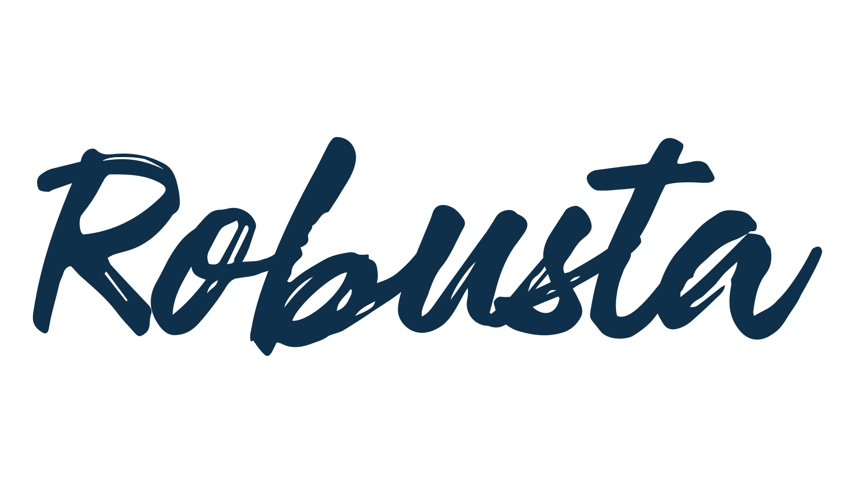 Robusta (robusta), script brush fancy decorative calligraphy font preview