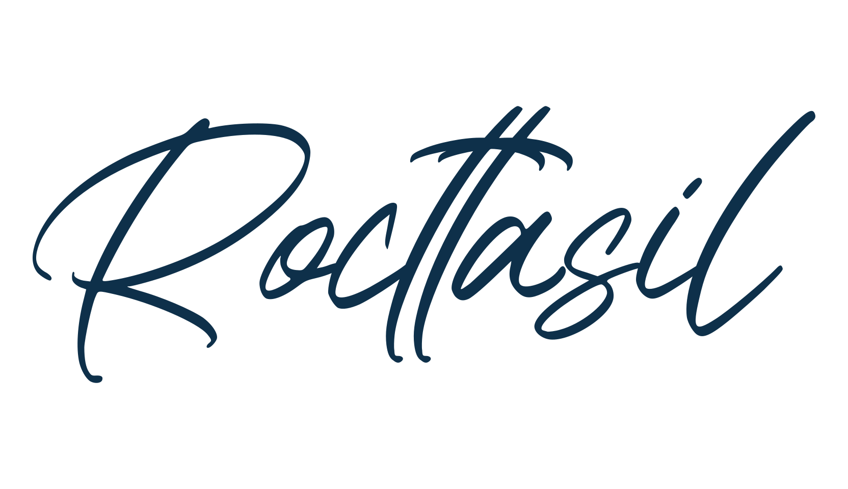 Rocttasil, script handwritten fancy decorative calligraphy font preview