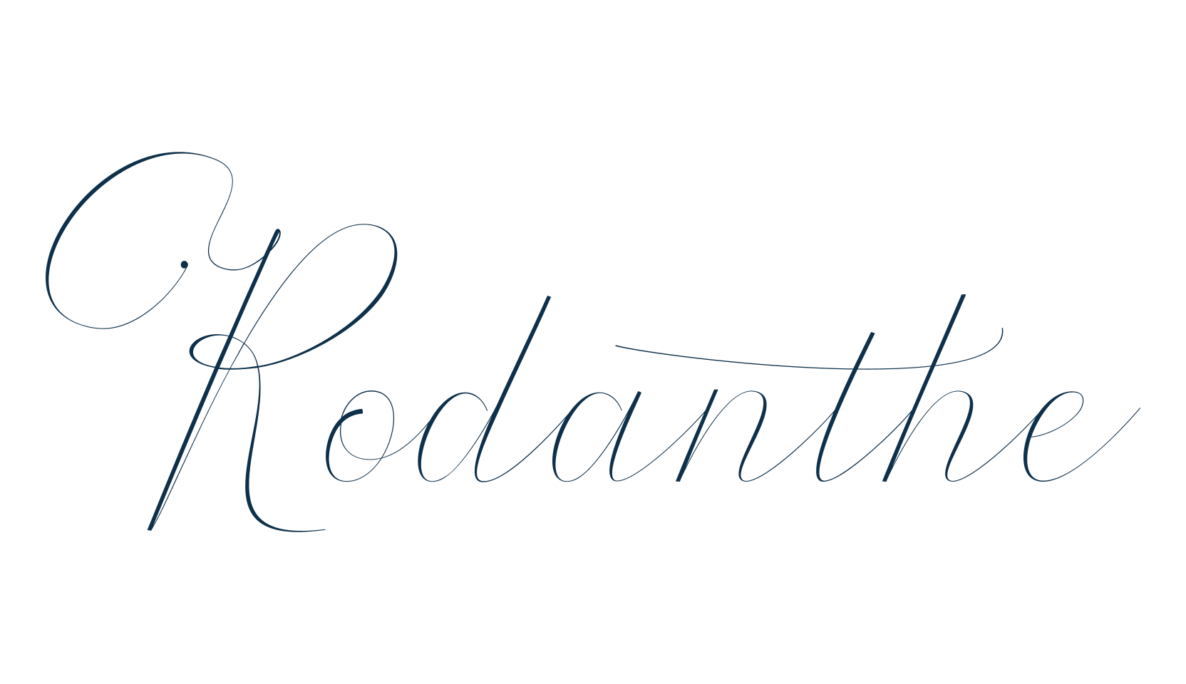 Rodanthe, calligraphy font preview