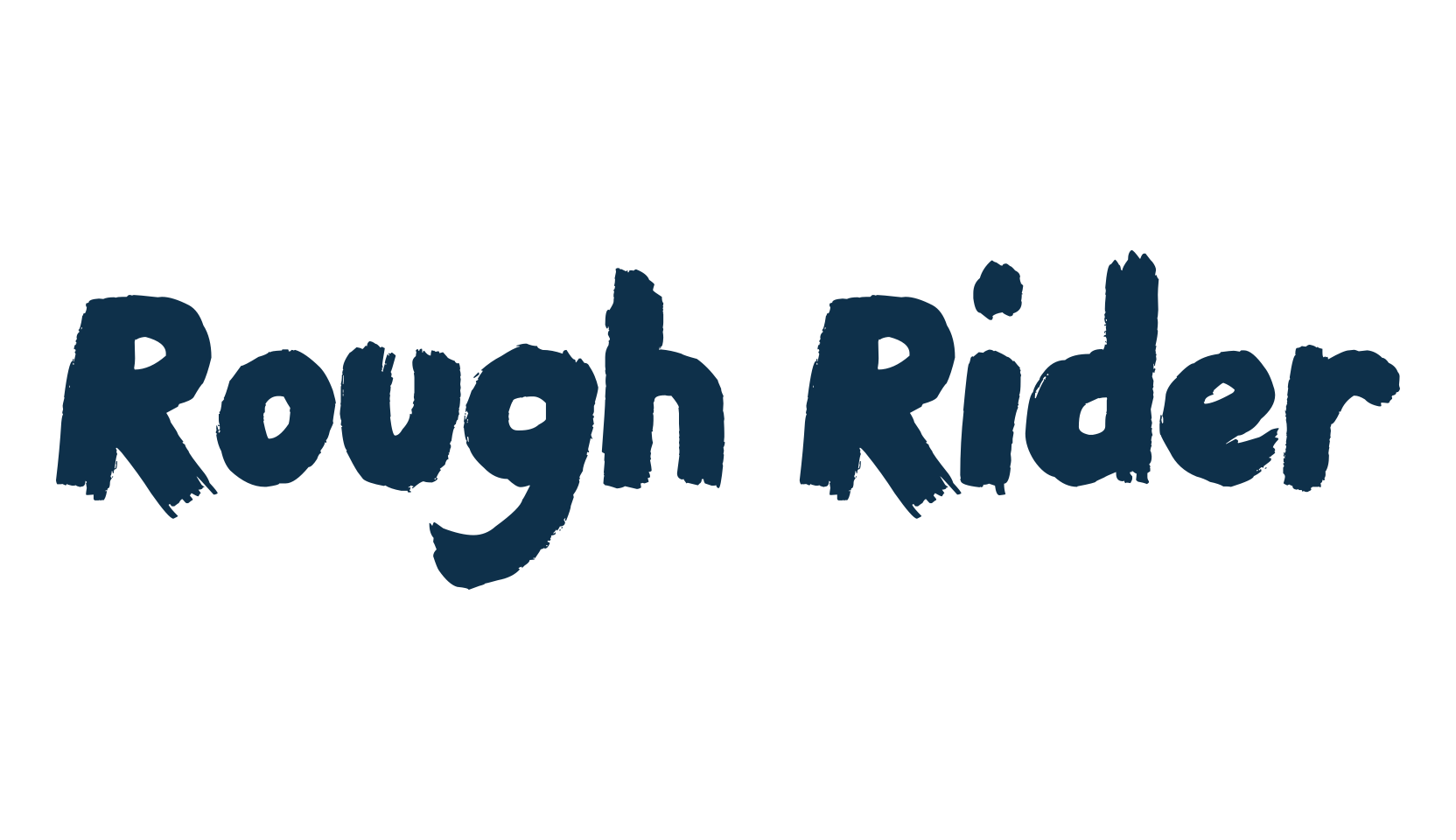 Rough Rider, script brush fancy decorative calligraphy font preview