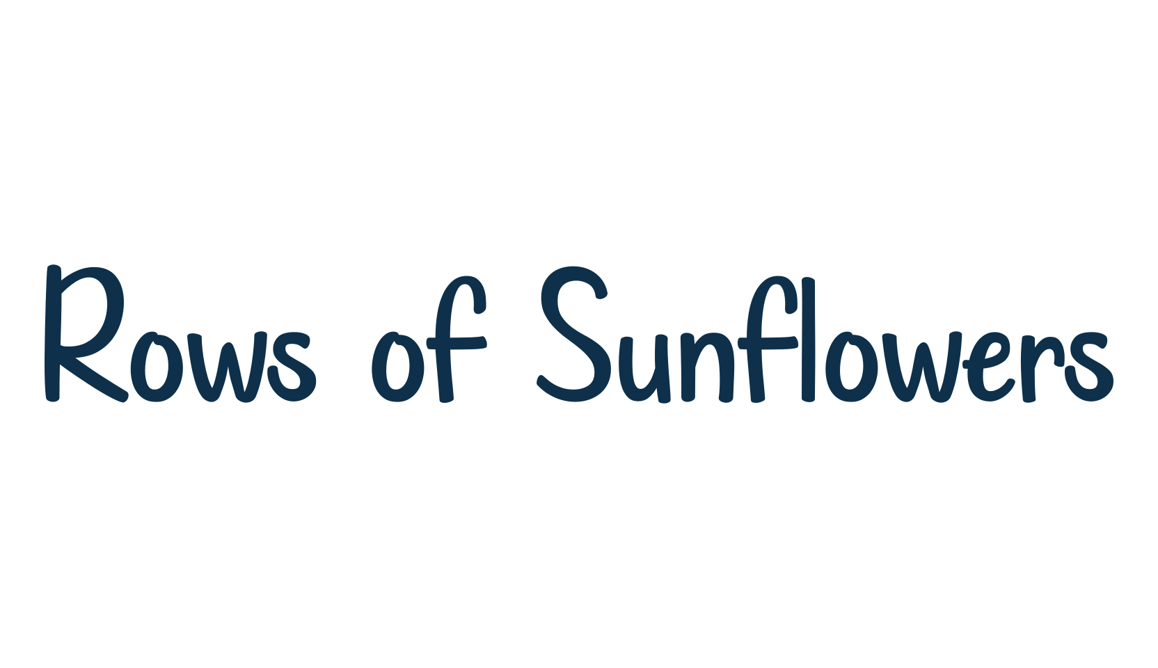 Rows of Sunflowers, handwriting font preview