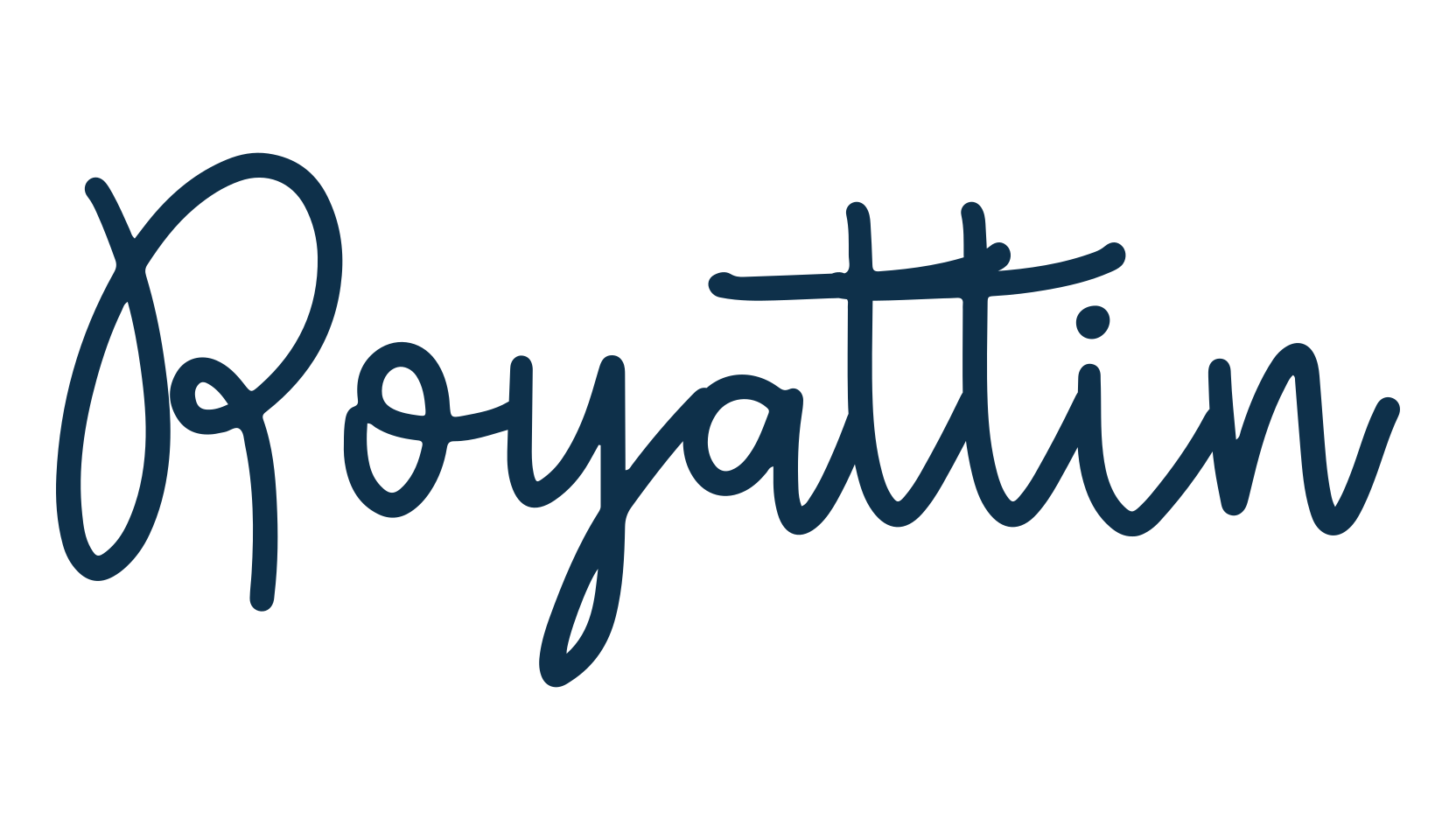 Royattin, script handwritten fancy decorative calligraphy font preview