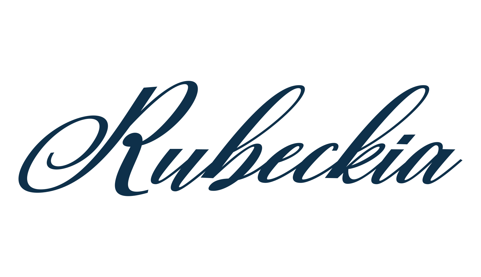 Rubeckia, script calligraphy fancy decorative font preview