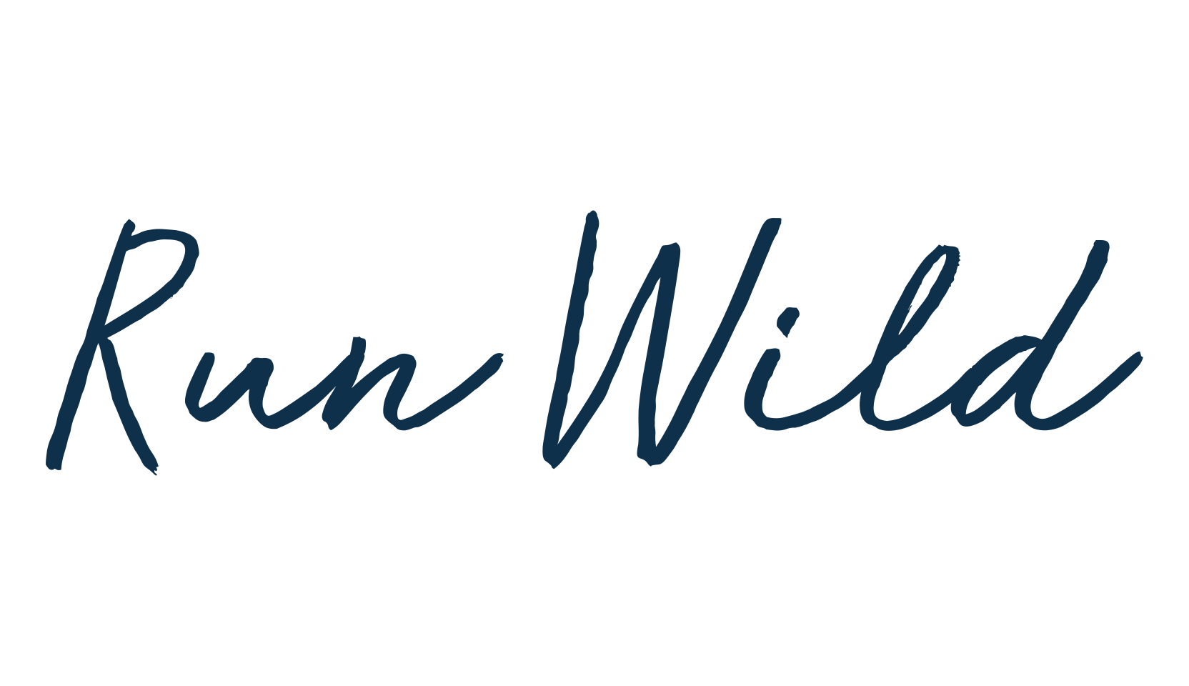 Run Wild, script handwritten fancy decorative calligraphy font preview